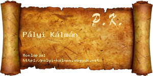 Pályi Kálmán névjegykártya